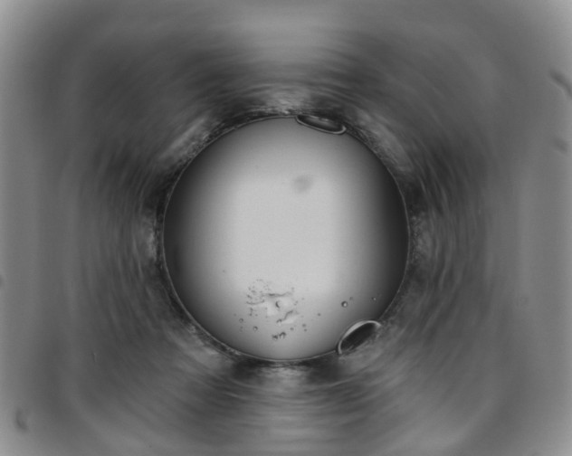 X0000097750313200803141602