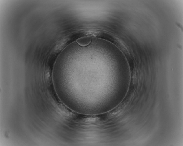 X0000097750314200803141602