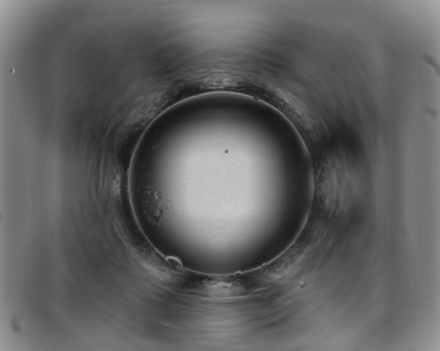 X0000097750315200803141602