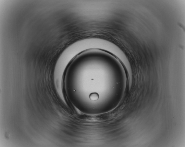 X0000097750316200803141602