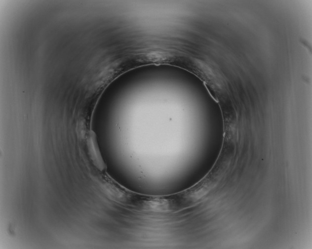 X0000097750317200803141602