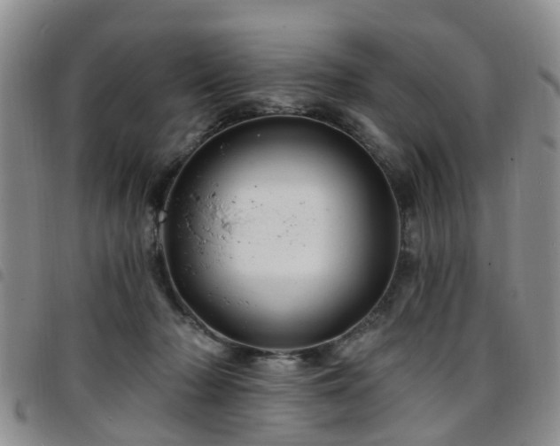 X0000097750318200803141602