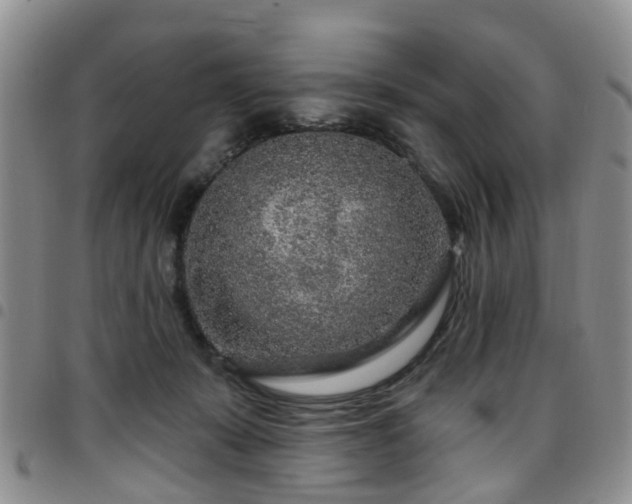 X0000097750319200803141602