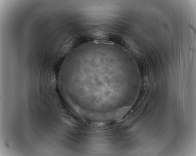 X0000097750320200803141602