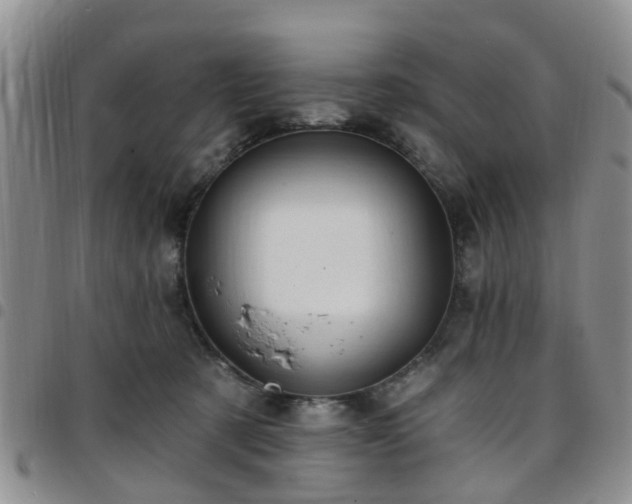 X0000097750321200803141602