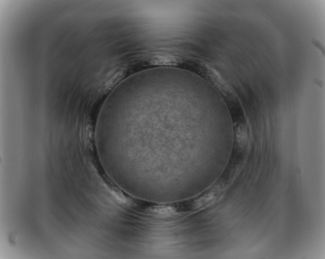 X0000097750322200803141602