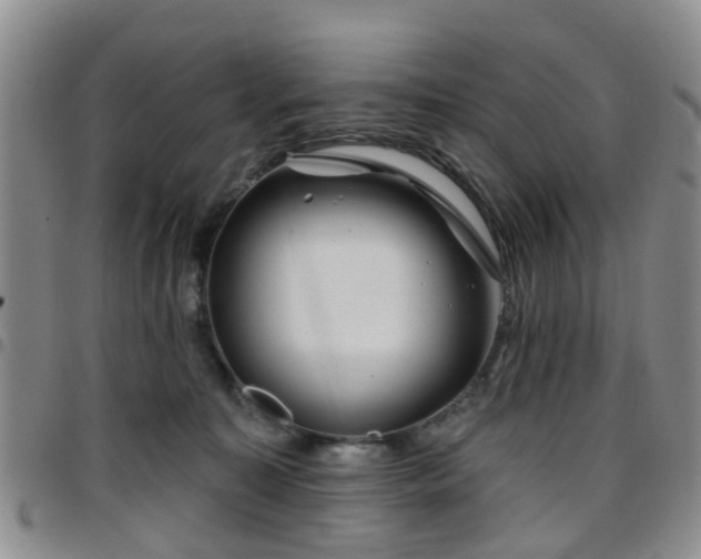 X0000097750323200803141602