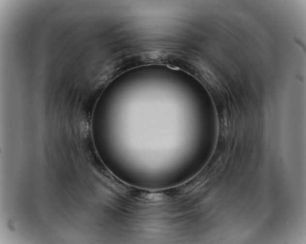 X0000097750324200803141602