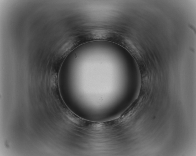 X0000097750325200803141602