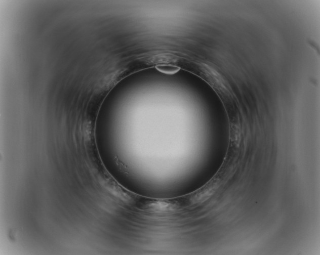 X0000097750326200803141602