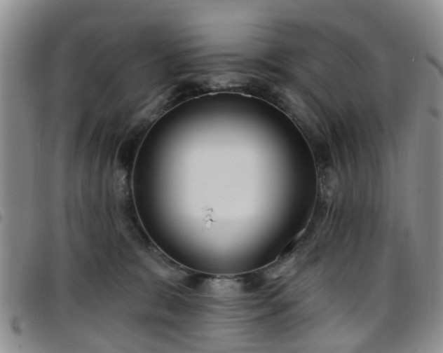 X0000097750327200803141602