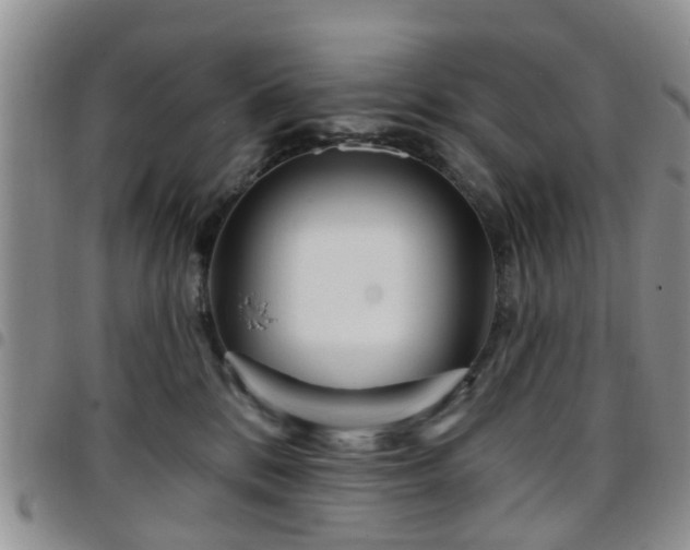 X0000097750328200803141602