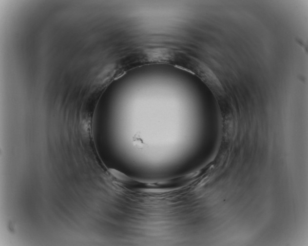 X0000097750329200803141602