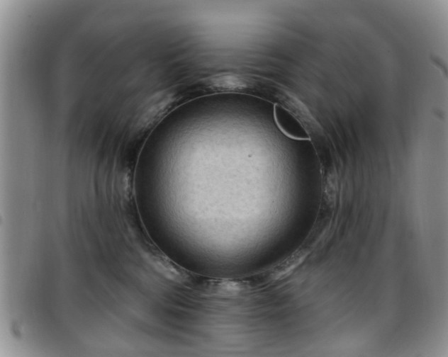 X0000097750330200803141602