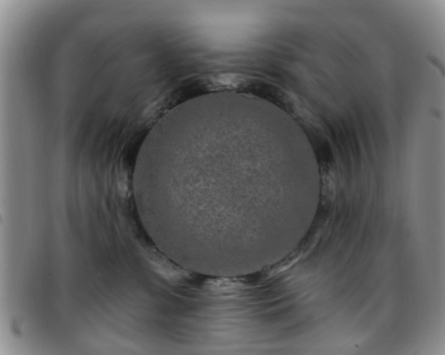 X0000097750331200803141602