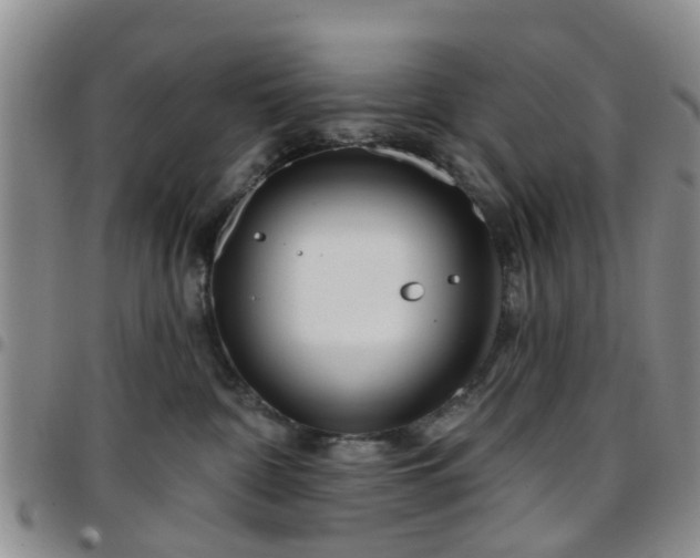 X0000097750332200803141602