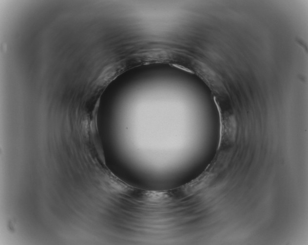 X0000097750333200803141602