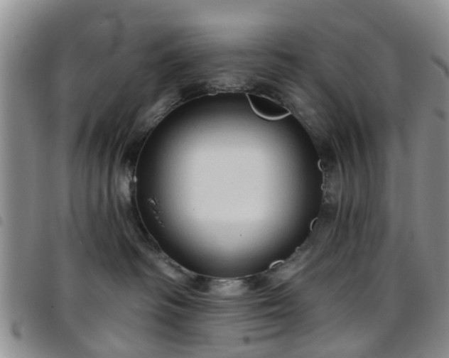 X0000097750334200803141602