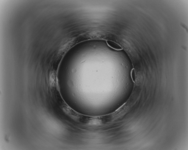 X0000097750335200803141602