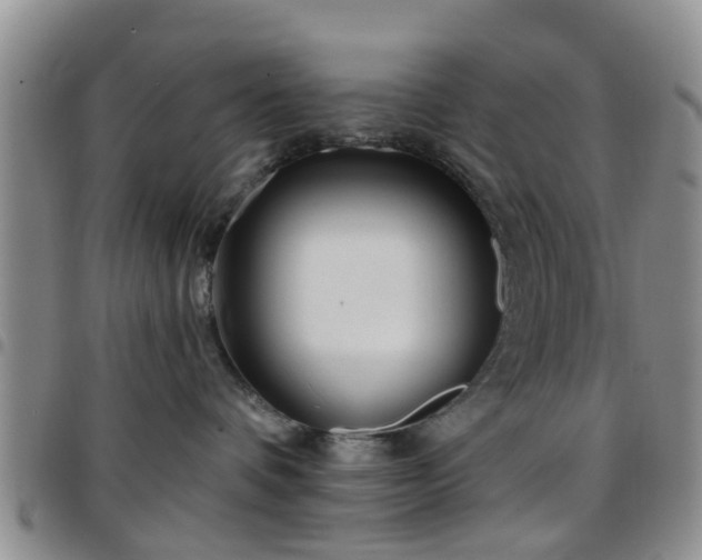 X0000097750336200803141602