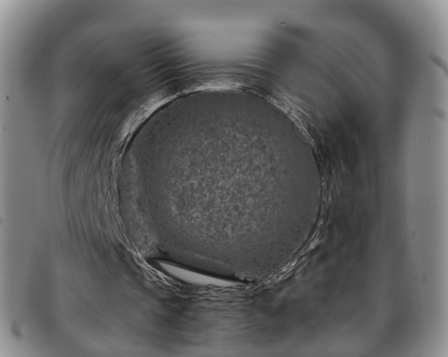 X0000097750337200803141601