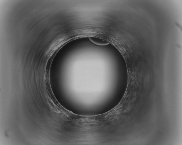 X0000097750338200803141601