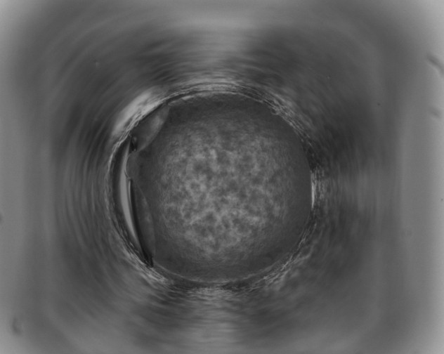 X0000097750339200803141601