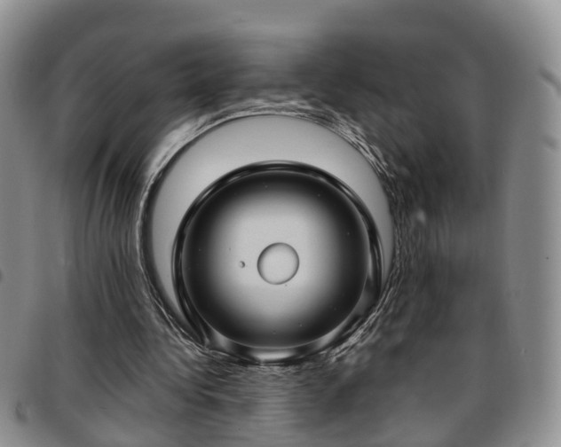 X0000097750340200803141601