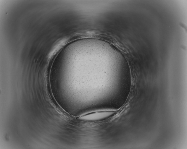 X0000097750341200803141601