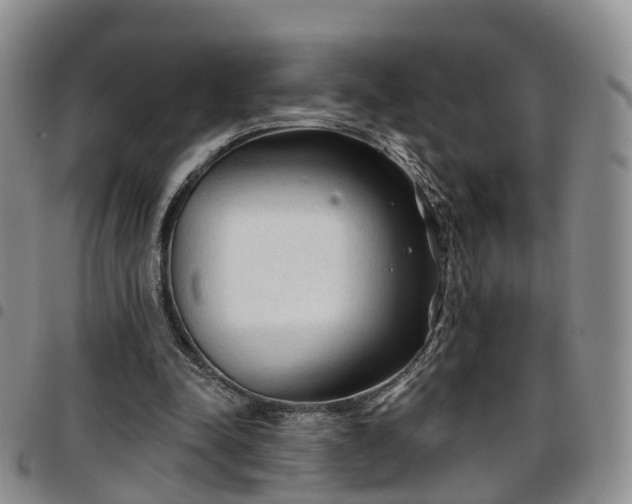 X0000097750342200803141601