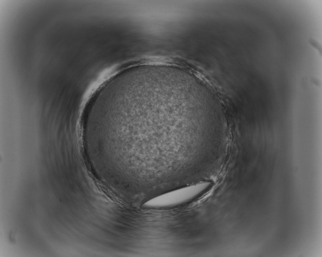 X0000097750343200803141601