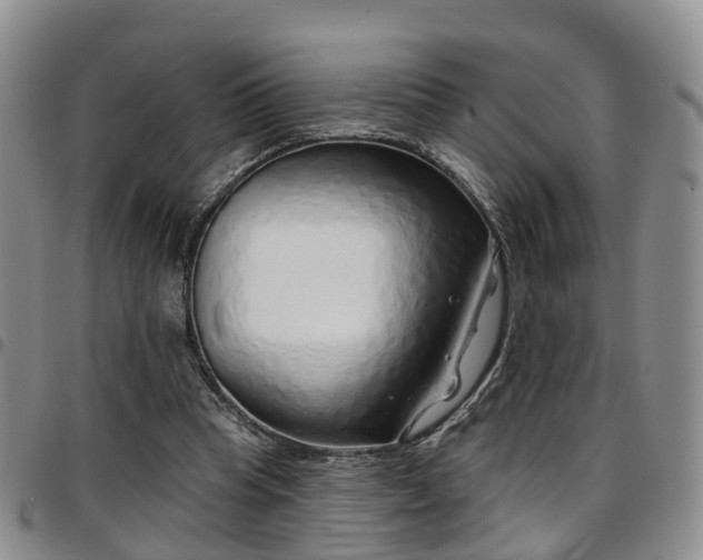 X0000097750345200803141601