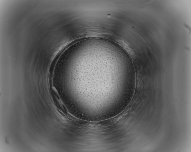 X0000097750346200803141601