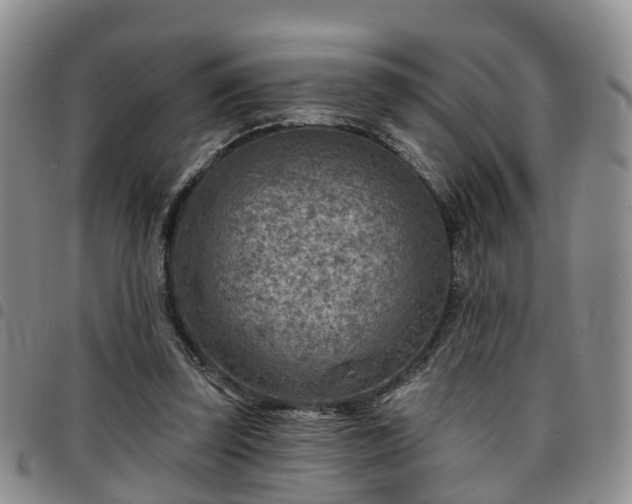 X0000097750347200803141601