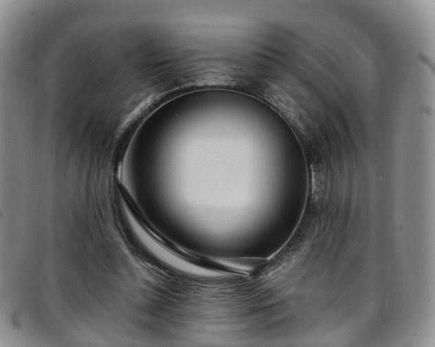 X0000097750348200803141601