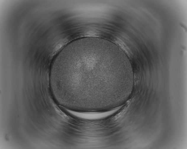 X0000097750349200803141601