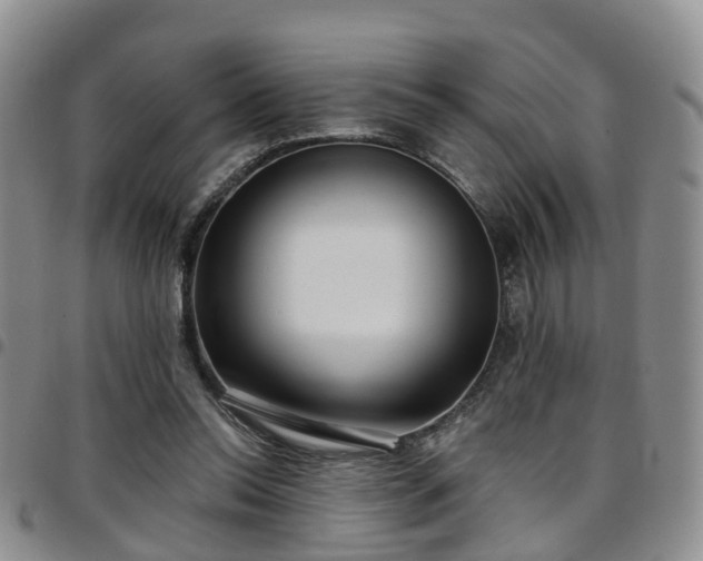 X0000097750350200803141601