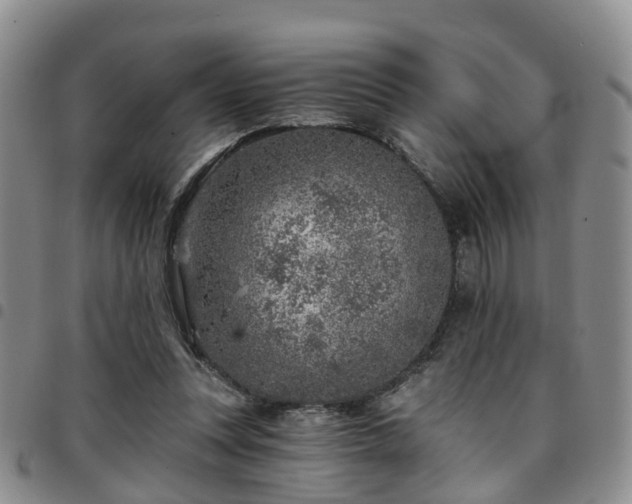 X0000097750351200803141601