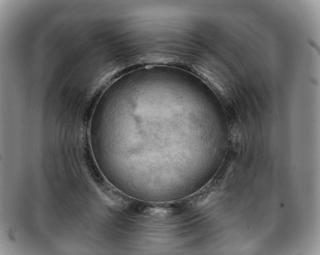 X0000097750352200803141601