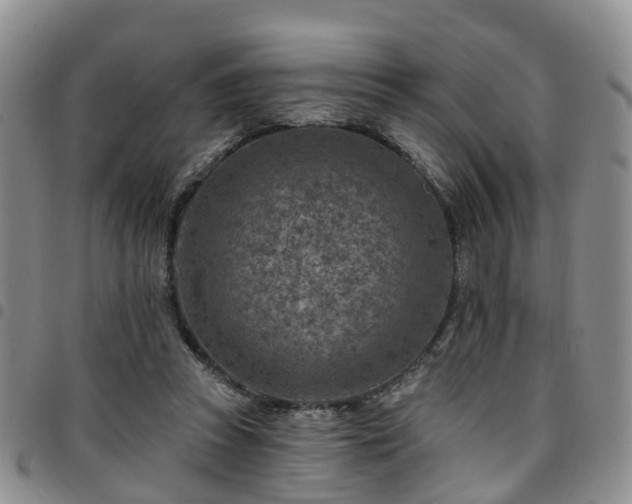 X0000097750353200803141601