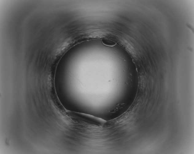 X0000097750354200803141601