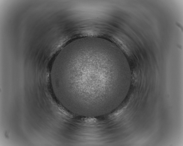 X0000097750355200803141601