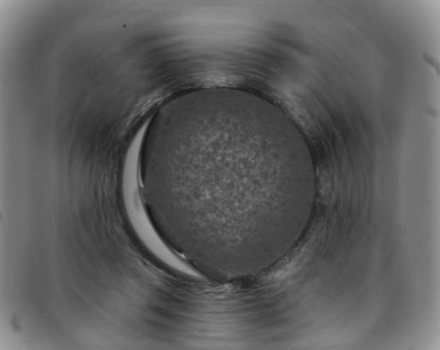 X0000097750357200803141601