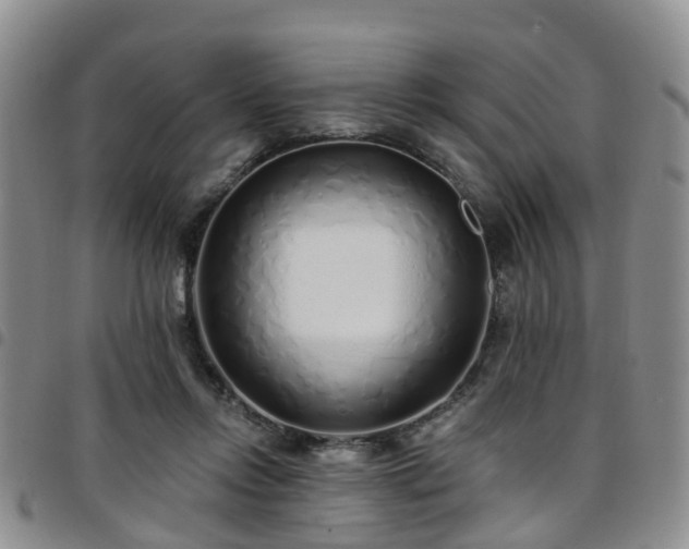 X0000097750358200803141601