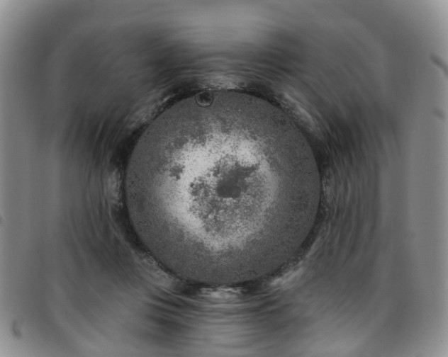 X0000097750359200803141601