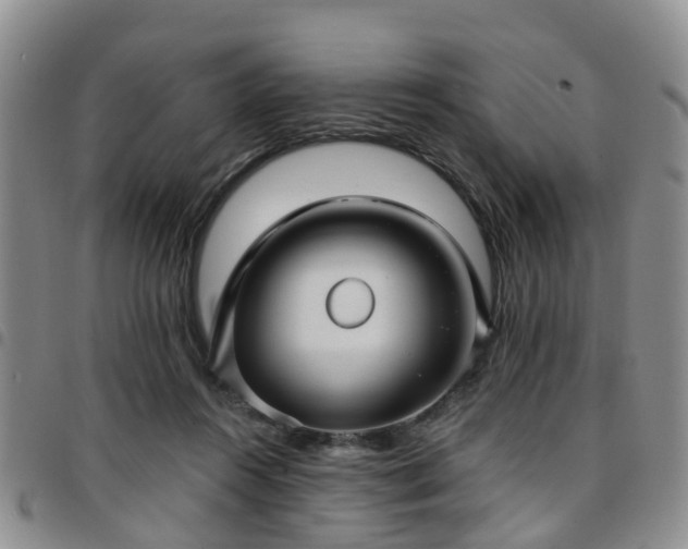 X0000097750360200803141601