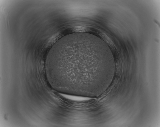 X0000097750361200803141601