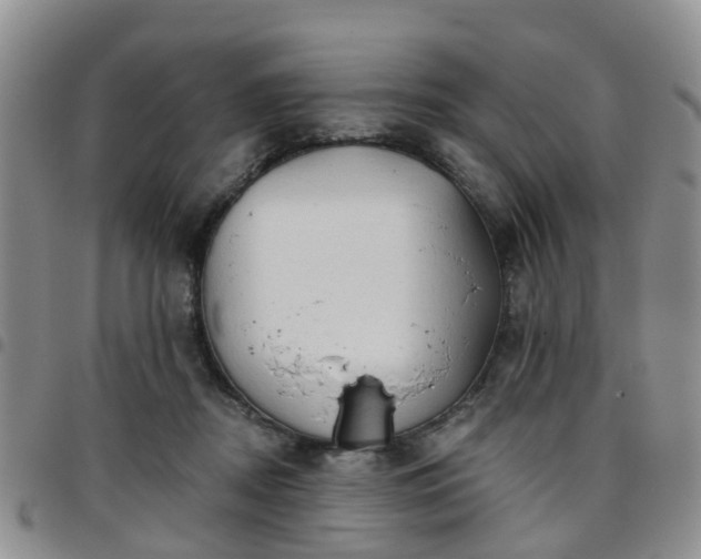 X0000097750362200803141601