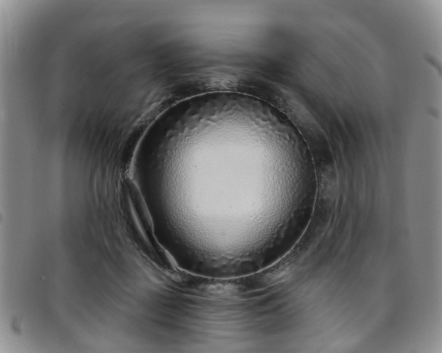 X0000097750363200803141601