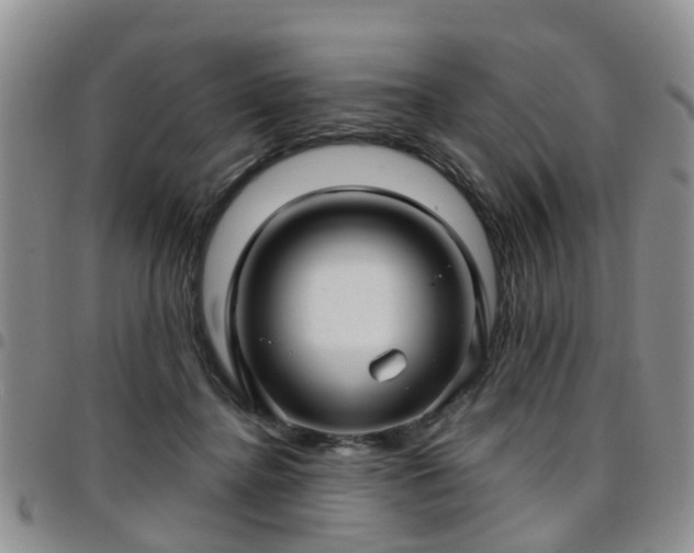 X0000097750364200803141601